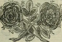 Picture 51 of 93 from Felsina pittrice : vite de pittori bolognesi (1678), leaf 318