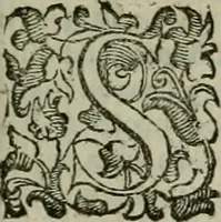An illustration from Felsina pittrice : vite de pittori bolognesi (1678)