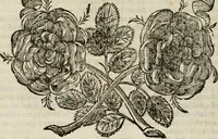 An illustration from Felsina pittrice : vite de pittori bolognesi (1678)