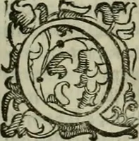 An illustration from Felsina pittrice : vite de pittori bolognesi (1678)