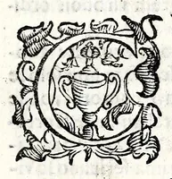 Picture 7 of 31 from Felsina pittrice: vite de pittori bolognesi : alla maesta christianissima di Luigi XIIII re di Francia e di Navarra il sempre vittorioso (1678), leaf 103
