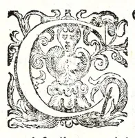 Picture 4 of 31 from Felsina pittrice: vite de pittori bolognesi : alla maesta christianissima di Luigi XIIII re di Francia e di Navarra il sempre vittorioso (1678), leaf 13