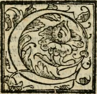 An illustration from Feralis pompa serenissimae Margaritae Avstriacae Farnesiae, Caroli V. filiae, per RR. DD. monachos Casinenses in monasterio S. Sixti de Plac. commorantes celebrata an. domini 1586 (1586)