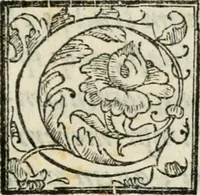 An illustration from Feralis pompa serenissimae Margaritae Avstriacae Farnesiae, Caroli V. filiae, per RR. DD. monachos Casinenses in monasterio S. Sixti de Plac. commorantes celebrata an. domini 1586 (1586)