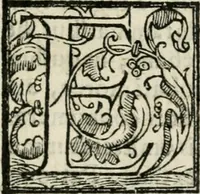 An illustration from Feralis pompa serenissimae Margaritae Avstriacae Farnesiae, Caroli V. filiae, per RR. DD. monachos Casinenses in monasterio S. Sixti de Plac. commorantes celebrata an. domini 1586 (1586)