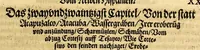An illustration from Ferdinandi Cortesii. Von dem Newen Hispanien, so im Meer gegem Nidergang, Zwo gantz lustige vnnd fruchtreiche Historien, an den grossmächtigisten vnüberwindtlichisten Herren, Carolum. V. römischen Kaiser &c. Künig in Hispanien &c. ... (1550)