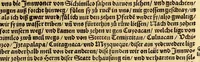 An illustration from Ferdinandi Cortesii. Von dem Newen Hispanien, so im Meer gegem Nidergang, Zwo gantz lustige vnnd fruchtreiche Historien, an den grossmächtigisten vnüberwindtlichisten Herren, Carolum. V. römischen Kaiser &c. Künig in Hispanien &c. ... (1550)