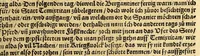 An illustration from Ferdinandi Cortesii. Von dem Newen Hispanien, so im Meer gegem Nidergang, Zwo gantz lustige vnnd fruchtreiche Historien, an den grossmächtigisten vnüberwindtlichisten Herren, Carolum. V. römischen Kaiser &c. Künig in Hispanien &c. ... (1550)