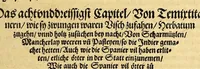An illustration from Ferdinandi Cortesii. Von dem Newen Hispanien, so im Meer gegem Nidergang, Zwo gantz lustige vnnd fruchtreiche Historien, an den grossmächtigisten vnüberwindtlichisten Herren, Carolum. V. römischen Kaiser &c. Künig in Hispanien &c. ... (1550)
