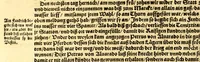 An illustration from Ferdinandi Cortesii. Von dem Newen Hispanien, so im Meer gegem Nidergang, Zwo gantz lustige vnnd fruchtreiche Historien, an den grossmächtigisten vnüberwindtlichisten Herren, Carolum. V. römischen Kaiser &c. Künig in Hispanien &c. ... (1550)