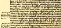 An illustration from Ferdinandi Cortesii. Von dem Newen Hispanien, so im Meer gegem Nidergang, Zwo gantz lustige vnnd fruchtreiche Historien, an den grossmächtigisten vnüberwindtlichisten Herren, Carolum. V. römischen Kaiser &c. Künig in Hispanien &c. ... (1550)