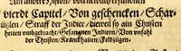 An illustration from Ferdinandi Cortesii. Von dem Newen Hispanien, so im Meer gegem Nidergang, Zwo gantz lustige vnnd fruchtreiche Historien, an den grossmächtigisten vnüberwindtlichisten Herren, Carolum. V. römischen Kaiser &c. Künig in Hispanien &c. ... (1550)