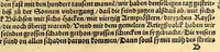 An illustration from Ferdinandi Cortesii. Von dem Newen Hispanien, so im Meer gegem Nidergang, Zwo gantz lustige vnnd fruchtreiche Historien, an den grossmächtigisten vnüberwindtlichisten Herren, Carolum. V. römischen Kaiser &c. Künig in Hispanien &c. ... (1550)