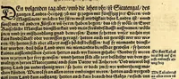 An illustration from Ferdinandi Cortesii. Von dem Newen Hispanien, so im Meer gegem Nidergang, Zwo gantz lustige vnnd fruchtreiche Historien, an den grossmächtigisten vnüberwindtlichisten Herren, Carolum. V. römischen Kaiser &c. Künig in Hispanien &c. ... (1550)