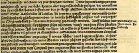 An illustration from Ferdinandi Cortesii. Von dem Newen Hispanien, so im Meer gegem Nidergang, Zwo gantz lustige vnnd fruchtreiche Historien, an den grossmächtigisten vnüberwindtlichisten Herren, Carolum. V. römischen Kaiser &c. Künig in Hispanien &c. ... (1550)