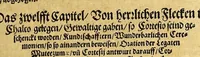 An illustration from Ferdinandi Cortesii. Von dem Newen Hispanien, so im Meer gegem Nidergang, Zwo gantz lustige vnnd fruchtreiche Historien, an den grossmächtigisten vnüberwindtlichisten Herren, Carolum. V. römischen Kaiser &c. Künig in Hispanien &c. ... (1550)