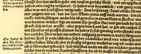 An illustration from Ferdinandi Cortesii. Von dem Newen Hispanien, so im Meer gegem Nidergang, Zwo gantz lustige vnnd fruchtreiche Historien, an den grossmächtigisten vnüberwindtlichisten Herren, Carolum. V. römischen Kaiser &c. Künig in Hispanien &c. ... (1550)