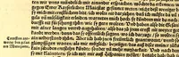 An illustration from Ferdinandi Cortesii. Von dem Newen Hispanien, so im Meer gegem Nidergang, Zwo gantz lustige vnnd fruchtreiche Historien, an den grossmächtigisten vnüberwindtlichisten Herren, Carolum. V. römischen Kaiser &c. Künig in Hispanien &c. ... (1550)
