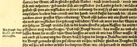 An illustration from Ferdinandi Cortesii. Von dem Newen Hispanien, so im Meer gegem Nidergang, Zwo gantz lustige vnnd fruchtreiche Historien, an den grossmächtigisten vnüberwindtlichisten Herren, Carolum. V. römischen Kaiser &c. Künig in Hispanien &c. ... (1550)