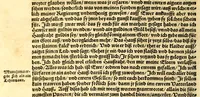 An illustration from Ferdinandi Cortesii. Von dem Newen Hispanien, so im Meer gegem Nidergang, Zwo gantz lustige vnnd fruchtreiche Historien, an den grossmächtigisten vnüberwindtlichisten Herren, Carolum. V. römischen Kaiser &c. Künig in Hispanien &c. ... (1550)