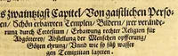 An illustration from Ferdinandi Cortesii. Von dem Newen Hispanien, so im Meer gegem Nidergang, Zwo gantz lustige vnnd fruchtreiche Historien, an den grossmächtigisten vnüberwindtlichisten Herren, Carolum. V. römischen Kaiser &c. Künig in Hispanien &c. ... (1550)