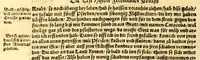 An illustration from Ferdinandi Cortesii. Von dem Newen Hispanien, so im Meer gegem Nidergang, Zwo gantz lustige vnnd fruchtreiche Historien, an den grossmächtigisten vnüberwindtlichisten Herren, Carolum. V. römischen Kaiser &c. Künig in Hispanien &c. ... (1550)