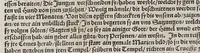 An illustration from Ferdinandi Cortesii. Von dem Newen Hispanien, so im Meer gegem Nidergang, Zwo gantz lustige vnnd fruchtreiche Historien, an den grossmächtigisten vnüberwindtlichisten Herren, Carolum. V. römischen Kaiser &c. Künig in Hispanien &c. ... (1550)