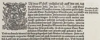 An illustration from Ferdinandi Cortesii. Von dem Newen Hispanien, so im Meer gegem Nidergang, Zwo gantz lustige vnnd fruchtreiche Historien, an den grossmächtigisten vnüberwindtlichisten Herren, Carolum. V. römischen Kaiser &c. Künig in Hispanien &c. ... (1550)
