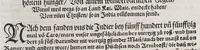 An illustration from Ferdinandi Cortesii. Von dem Newen Hispanien, so im Meer gegem Nidergang, Zwo gantz lustige vnnd fruchtreiche Historien, an den grossmächtigisten vnüberwindtlichisten Herren, Carolum. V. römischen Kaiser &c. Künig in Hispanien &c. ... (1550)