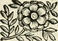 An illustration from Ferrara trionfante, per la coronazione della B.ma Vergine del Rosario celebrata l'anno 1638. Con apparato di teatro, di macchine, e di musica componimento dell'eccellentiss. sig. d. Ascanio Pio di Savoia. Donato dal medesimo signore alla Compagnia del Santiss. Rosario eretta anticamente in Ferrara nella Chiesa di S. Domenico de reuerendi Padri Predicatori (1662)