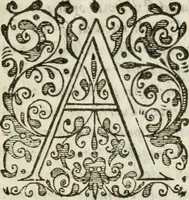 An illustration from Ferrara trionfante, per la coronazione della B.ma Vergine del Rosario celebrata l'anno 1638. Con apparato di teatro, di macchine, e di musica componimento dell'eccellentiss. sig. d. Ascanio Pio di Savoia. Donato dal medesimo signore alla Compagnia del Santiss. Rosario eretta anticamente in Ferrara nella Chiesa di S. Domenico de reuerendi Padri Predicatori (1662)