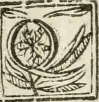 An illustration from Ferrara trionfante, per la coronazione della B.ma Vergine del Rosario celebrata l'anno 1638. Con apparato di teatro, di macchine, e di musica componimento dell'eccellentiss. sig. d. Ascanio Pio di Savoia. Donato dal medesimo signore alla Compagnia del Santiss. Rosario eretta anticamente in Ferrara nella Chiesa di S. Domenico de reuerendi Padri Predicatori (1662)
