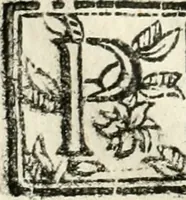 An illustration from Ferrara trionfante, per la coronazione della B.ma Vergine del Rosario celebrata l'anno 1638. Con apparato di teatro, di macchine, e di musica componimento dell'eccellentiss. sig. d. Ascanio Pio di Savoia. Donato dal medesimo signore alla Compagnia del Santiss. Rosario eretta anticamente in Ferrara nella Chiesa di S. Domenico de reuerendi Padri Predicatori (1662)