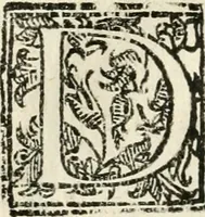 An illustration from Ferrara trionfante, per la coronazione della B.ma Vergine del Rosario celebrata l'anno 1638. Con apparato di teatro, di macchine, e di musica componimento dell'eccellentiss. sig. d. Ascanio Pio di Savoia. Donato dal medesimo signore alla Compagnia del Santiss. Rosario eretta anticamente in Ferrara nella Chiesa di S. Domenico de reuerendi Padri Predicatori (1662)