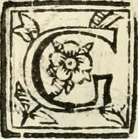 An illustration from Ferrara trionfante, per la coronazione della B.ma Vergine del Rosario celebrata l'anno 1638. Con apparato di teatro, di macchine, e di musica componimento dell'eccellentiss. sig. d. Ascanio Pio di Savoia. Donato dal medesimo signore alla Compagnia del Santiss. Rosario eretta anticamente in Ferrara nella Chiesa di S. Domenico de reuerendi Padri Predicatori (1662)