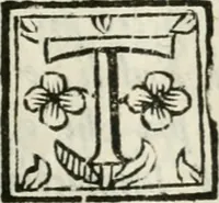 Picture 16 of 20 from Ferrara trionfante, per la coronazione della B.ma Vergine del Rosario celebrata l'anno 1638. Con apparato di teatro, di macchine, e di musica componimento dell'eccellentiss. sig. d. Ascanio Pio di Savoia. Donato dal medesimo signore alla Compagnia del Santiss. Rosario eretta anticamente in Ferrara nella Chiesa di S. Domenico de reuerendi Padri Predicatori (1662), leaf 40