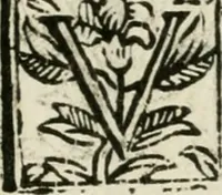An illustration from Ferrara trionfante, per la coronazione della B.ma Vergine del Rosario celebrata l'anno 1638. Con apparato di teatro, di macchine, e di musica componimento dell'eccellentiss. sig. d. Ascanio Pio di Savoia. Donato dal medesimo signore alla Compagnia del Santiss. Rosario eretta anticamente in Ferrara nella Chiesa di S. Domenico de reuerendi Padri Predicatori (1662)