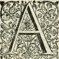 An illustration from Ferrara trionfante, per la coronazione della B.ma Vergine del Rosario celebrata l'anno 1638. Con apparato di teatro, di macchine, e di musica componimento dell'eccellentiss. sig. d. Ascanio Pio di Savoia. Donato dal medesimo signore alla Compagnia del Santiss. Rosario eretta anticamente in Ferrara nella Chiesa di S. Domenico de reuerendi Padri Predicatori (1662)