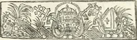 An illustration from Festa Accademica di lettere, e d'armi per la glorisa esaltazione al trono pontificio della santita di nostro signore Benedetto XIV ed alla medesima consecrata (1740)
