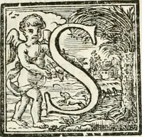 An illustration from Festa Accademica di lettere, e d'armi per la glorisa esaltazione al trono pontificio della santita di nostro signore Benedetto XIV ed alla medesima consecrata (1740)