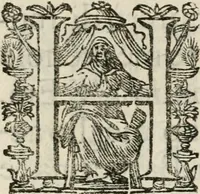 An illustration from Festa fatta in Roma alli 25. di febraio MDCXXXIV (1635)