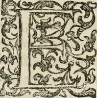 An illustration from Festa fatta in Roma alli 25. di febraio MDCXXXIV (1635)
