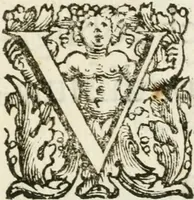 An illustration from Feste celebrate in Roma per Vienna liberata dall'inuasione de'Turchi (1683)