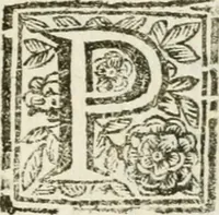 An illustration from Feste celebrate in Roma per Vienna liberata dall'inuasione de'Turchi (1683)