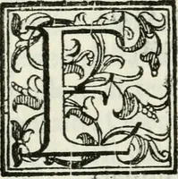 Picture 20 of 20 from Feste di Milano nel felicissimo nascimento del serenissimo principe di Spagna don Filippo Dominico Vittorio (1607), leaf 215