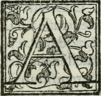 Picture 5 of 20 from Feste di Milano nel felicissimo nascimento del serenissimo principe di Spagna don Filippo Dominico Vittorio (1607), leaf 28