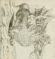 An illustration from Feste nelle nozze del serenissimo don Francesco Medici gran dvca di Toscana; et della sereniss. sua consorte la sig. Bianca Cappello (1579)