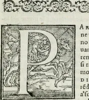 An illustration from Feste nelle nozze del serenissimo don Francesco Medici gran dvca di Toscana; et della sereniss. sua consorte la sig. Bianca Cappello (1579)