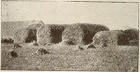 An illustration from A few facts about the city of Saskatoon : something of its past, present and prospects for the future, a city of opportunities. A railway centre. The hub of the great hard wheat area of Central Saskatchewan (1907)