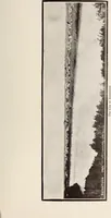 An illustration from A few facts about the city of Saskatoon : something of its past, present and prospects for the future, a city of opportunities. A railway centre. The hub of the great hard wheat area of Central Saskatchewan (1907)